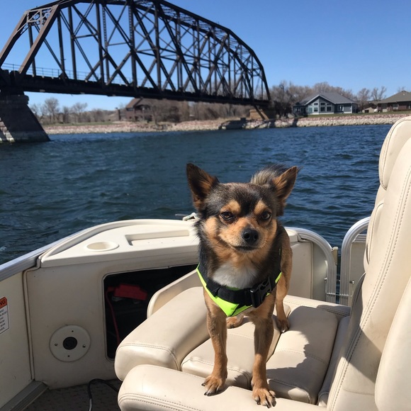 Meet your Posh Ambassador, Paula - Picture 8 of 16